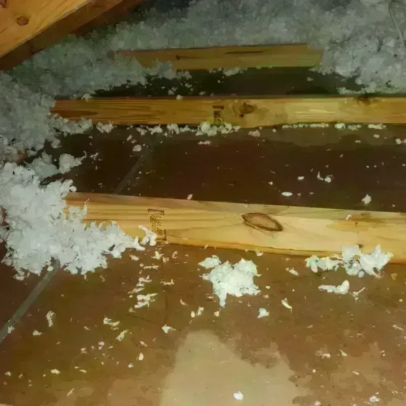 Attic Water Damage in Utica, OH