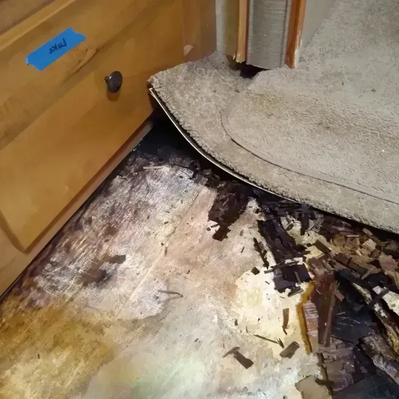 Best Wood Floor Water Damage Service in Utica, OH